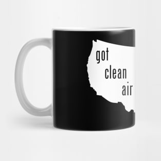 USA - Got Clean Air & Water? Mug